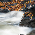 Water Stream in Autumn 1
